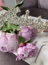 /upload/accessory/508/B43FA5E9-CEAF-4109-9FBD-A27C9005E5E8.jpeg