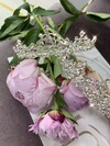 /upload/accessory/508/DDC92D32-3E41-40B7-9510-5086A7A792C4.jpeg