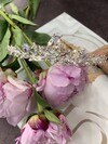 /upload/accessory/507/894C7F57-D754-4476-8386-2DD28A01D8AF.jpeg