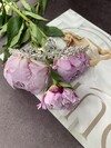 /upload/accessory/507/29664974-5FEB-4523-B610-1CAA128C0F95.jpeg